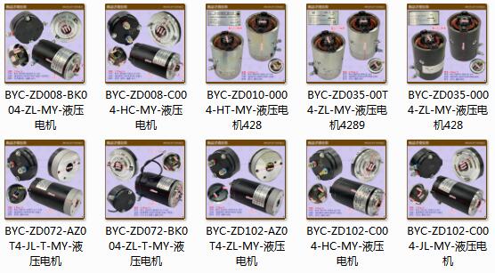 三類車液壓電機